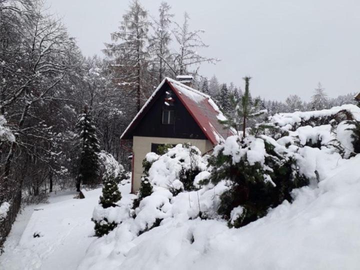 Chata U Koupaliste Chřibská Extérieur photo